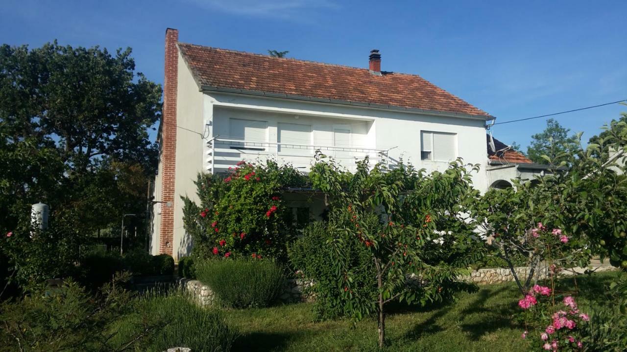 Apartman Brigitte *
